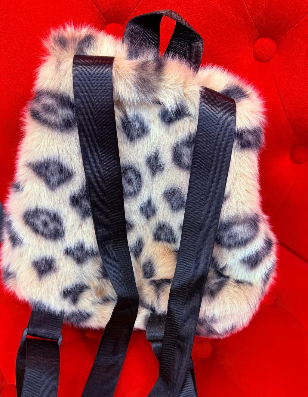 Wild Mesa Mini Backpack